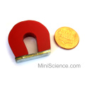 horseshoe-magnet-1-inch-high-alnico-wholesale