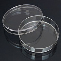 petri-dishes-with-lid-clear-polystyrene-100x15-mm