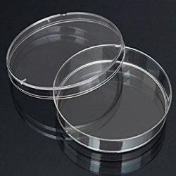petri-dishes-with-lid-clear-polystyrene-100x15-mm