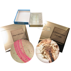 tiny-creatures-set-glass-prepared-slides