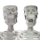 human-skeleton-model-16-inch