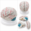 Human-Brain-Anatomy-Model-with-Colored-Arteries-3-Parts