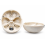 human-skull-model-life-size-3-parts-removable-teeth